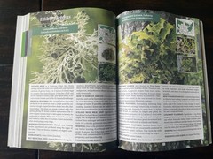 The Forager’s Guide to Wild Foods North American Edition by Nicole Apelian