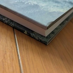 Huang Youwei Watercolor Art Collection Book 138 Pages Landscape Paintings 2011