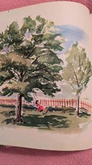 Gene Darby, WHAT IS A TREE (The What Is It Series) 1957, Ex-Library, HB, Child