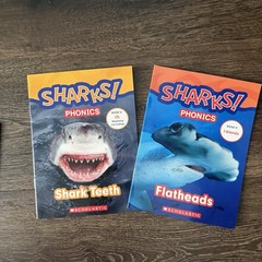 46 Early Reader Phonics Books Lot Sharks Scholastic Saxon Homeschool K-1