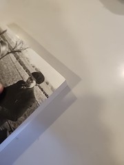 DEPOSITION 1940-1944: A SECRET DIARY OF LIFE IN VICHY By Leon Werth & David Ball