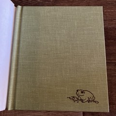 Magic in the Mist by Margaret Mary Kimmel Trina Schart Hyman 1984 HC Signed