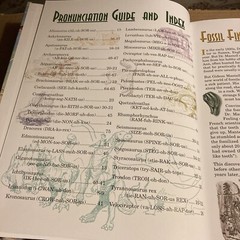 Dinosaur Released, The True Story About Dinosaurs And Humans Lyons & Butt 2nd Ed