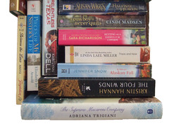 22 NOVELS BY THE TOP WOMEN ROMANCE FAMILY WRITERS for 1 Low Price + Free Ship