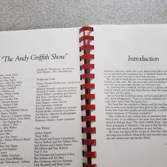 Aunt Bees Mayberry Cookbook 244 Pages Recipes Interesting Read Too