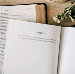 The Daily Grace Co Book by Book Bible Study