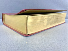 The Daily Grace Co Illuminated ESV Bible Art Journaling Softcover With Box