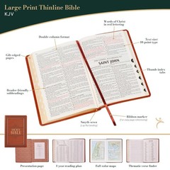 The Holy Bible King James Version LARGE PRINT Thumb Indexed Edition / TAN Faux L