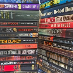 Books Lot 6 Mystery Suspense Thriller Crime Random Mixed Assorted Hardcover VGC