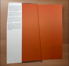 The Fifty Year Sword Mark Z. Danielewski’s 2006 2nd Edition