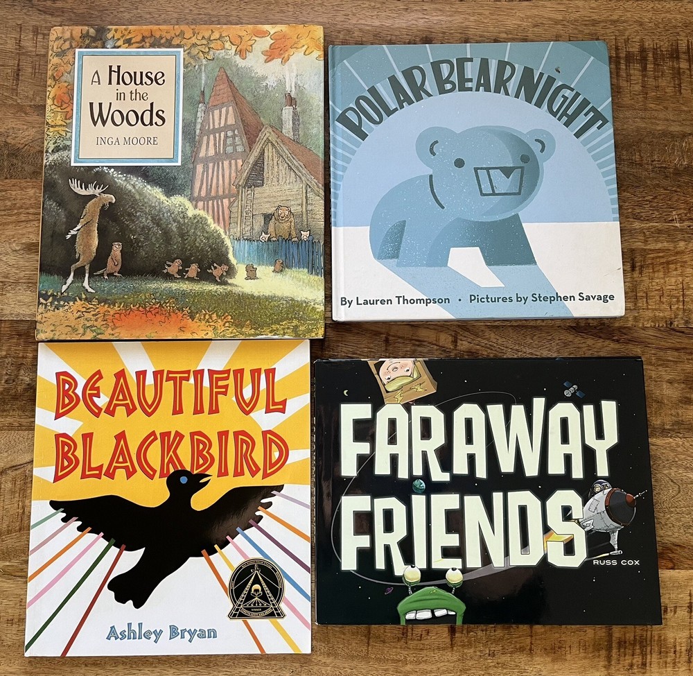 Lot of 4 Children’s Books for Kids A House In The Woods Faraway Friends Ages 4-8