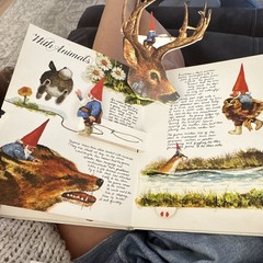 Harry N. Abrams The Pop-Up Book of Gnomes Pop-Up Illustrated Hardcover 1979