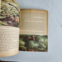 Golden Books Prehistoric Animals: Dinosaurs and Other Reptiles and Mammals 1958