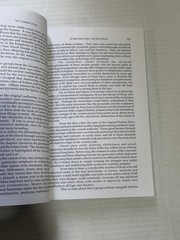 The Coming of Tan by Riley Martin & O-Qua Tangin Wann Paper Back