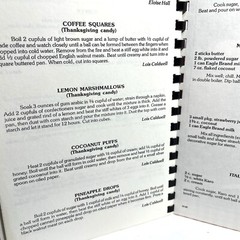 Delta Kappa Gamma Society Iota Iota Cookbook 1980s