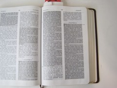 Jack Van Impe Prophecy Bible KJV Limited Special Edition Red Letter Ed. Burgandy