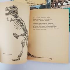 4 Book Lot Dinosaur Story Joanna Cole, Discovering Dinosaurs, Triumph of the…