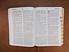 King James Study Bible Red Letter Faux Leather, Teal Inlay, Large Print, Indexed