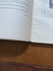 WILLIAM BLAKE THE BOOK OF JOB 22 ENGRAVINGS LETTERPRESS 1927 ART RELIGION BIBLE