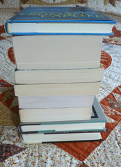 Classic & Contemporary Literature Lot of 8 books