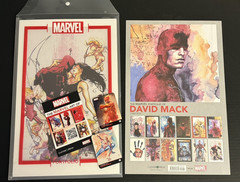 2024 Marvel Portfolio of David Mack Daredevil Complete Set of 12 Prints 17”x11”