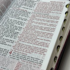 NIV Bible English/Korean Study Bible Brown Zipper-Red Letter Word of Life Press