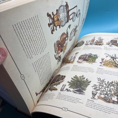 RARE! The Book The Ultimate Guide To Rebuilding Civilization Quest Ed pg 378-379