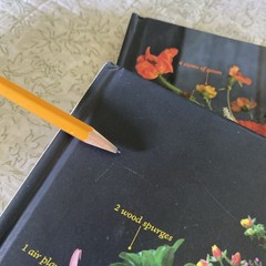 Set/2 The Flower Recipe Book The Plant Recipe 100 Floral Seasonal Arrangements
