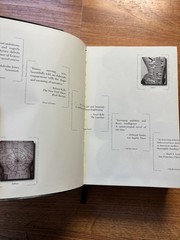 The Familiar, Volume 1: One Rainy Day in May/Mark Z. Danielewski/VERY GOOD FLEXI