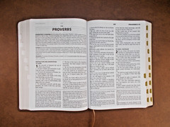 King James Study Bible Red Letter Faux Leather, Teal Inlay, Large Print, Indexed
