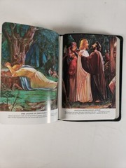 Saint Joseph Edition The New American Bible Catholic Book Publishing