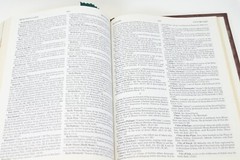 Holy Bible NKJV Red Family Edition Leather1985 Nelson 255BGCE 11.5×8.5×2 Inches