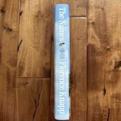 The Names A Novel – VERY GOOD