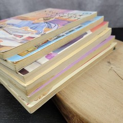 Vintage Apple Fiction Paperbacks Chapter Book Lot Scholastic 1980’s & 1990’s