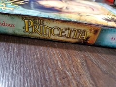 The Princetta by Anne-Laure Bondoux (2008, Paperback, Bloomsbury)