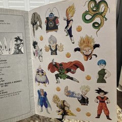 2002 Dragonball Z Extreme Paperback J. O’Hare Paperback w/Glow in Dark Stickers