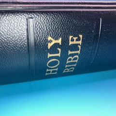 Practical Loose Leaf Bible 1st First Printing Edition Revell used