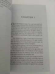 Theo of Golden By Allen Levi English PB