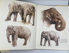 Vintage Noah’s Ark Rien Poortvliet HC Beige Illustrated 1986 Abrams Netherlands