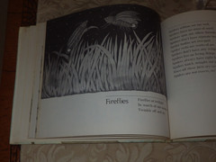 Bugs : Poems By Mary Ann Hoberman 1976 HC 1st ED in Dust Jacket RARE SIGNED!