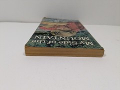 My Side of the Mountain by Jean George Vintage Paperback Book Scholastic Book