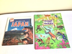 Mixed Lot Of 15 SC Childrens Illustrated Picture Books Teacher Classroom Set
