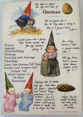 Gnomes Huygen Poortvliet 1979 1st PB printing art fairy fantasy VTG forest draw