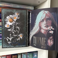 Torment Part 1 and Part 2 by Dylan Page Mystic Book Box Special Editions