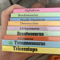 Lot of 9 Hardcover Dinosaur Library Series Books 1980s Rourke Publishing Vtg