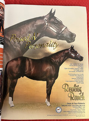 SALE ENDS 6/15! 2008 Quarter Horse Journal STALLION EDITION Book, PEPTOBOONSMAL
