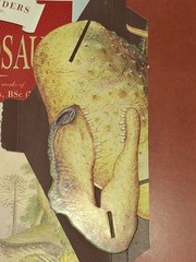 Dinosaur Book & T Rex Puzzle Amazing Wonders Collection: Tyrannosaur Kids Book