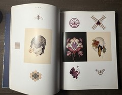 James Jean Rebus Hardcover Illustrated Art Book Chronicle Books 2011 240 Pages