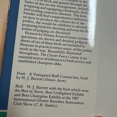 The Gloster Fancy Canary – Guide To Keeping, Breeding N.J. Barrett + C.Blackwell
