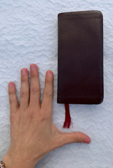 NIV Trimline Pocket Bible New Testament 1984 Burgundy Leather Red Lettered Gilt